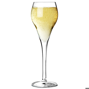 Brio Champagne Flutes 5.6oz / 160ml